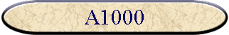 A1000