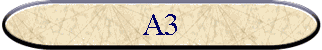 A3