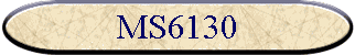 MS6130