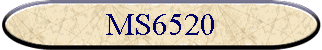 MS6520